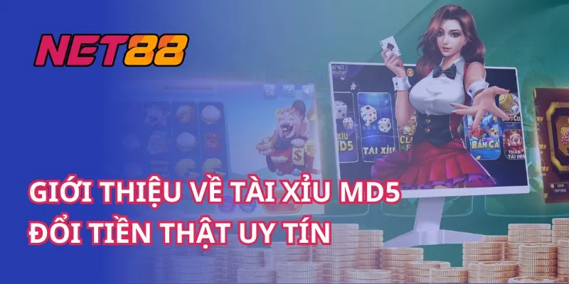 Tài xỉu MD5 net88 có gì mới mẻ