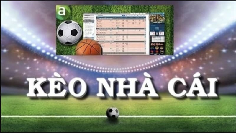 Cách đọc odds và ý nghĩa biến động tỷ lệ tại Sunwin 