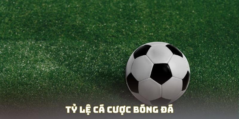 Cách đọc tỷ lệ cược kèo Châu Âu