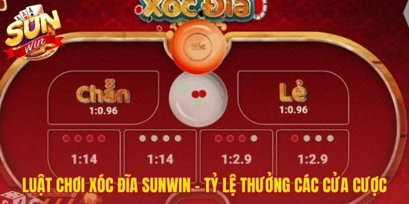 Nguyên lý hoạt động của thuật toán phần mềm