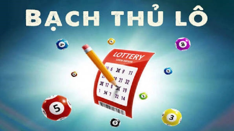 Những Lưu Ý Quan Trọng Để Nuôi Khung Thành Công